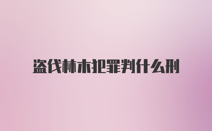 盗伐林木犯罪判什么刑