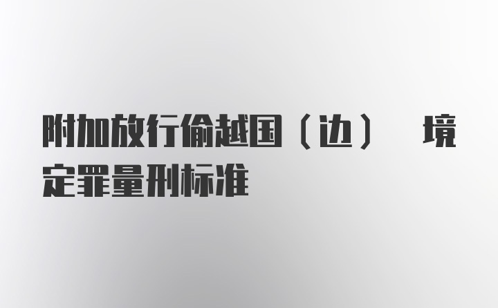 附加放行偷越国(边) 境定罪量刑标准