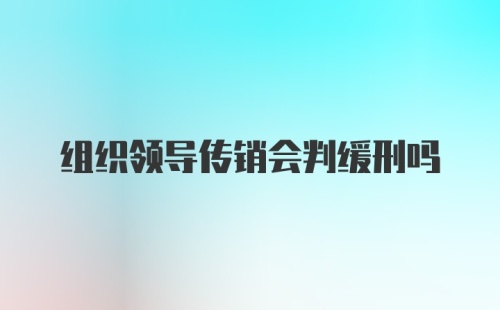 组织领导传销会判缓刑吗