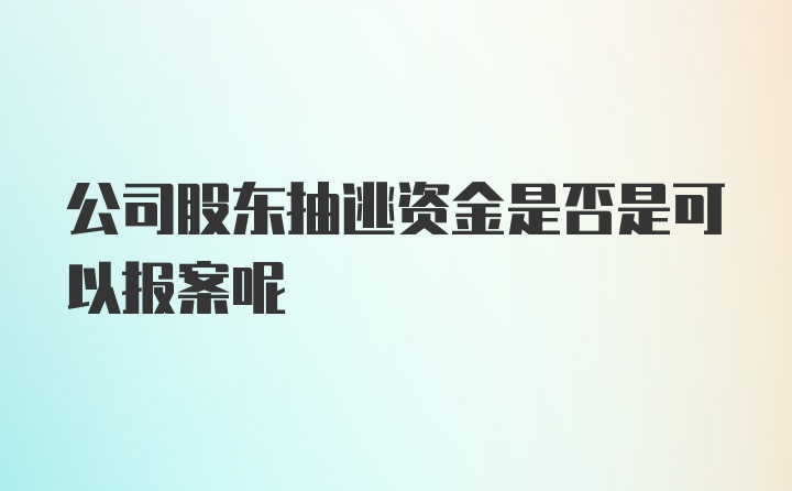 公司股东抽逃资金是否是可以报案呢