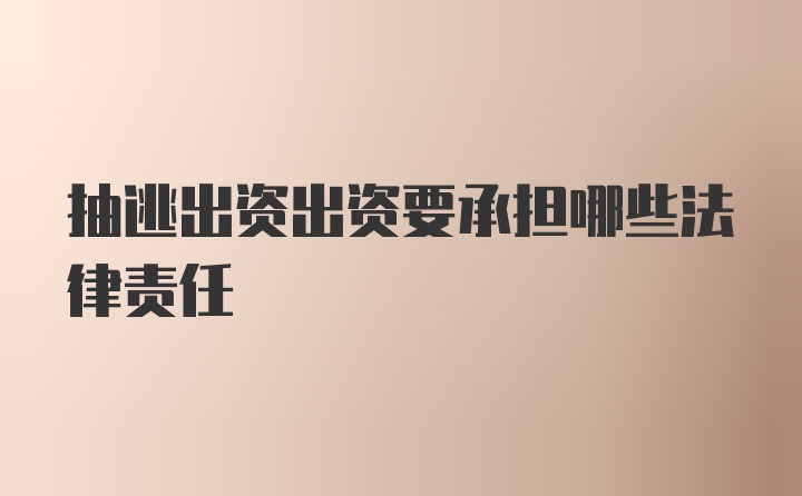 抽逃出资出资要承担哪些法律责任