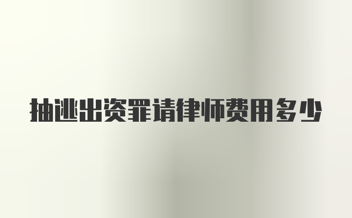 抽逃出资罪请律师费用多少