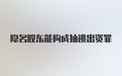 隐名股东能构成抽逃出资罪