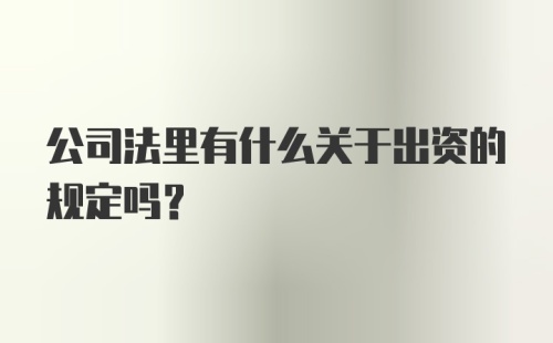 公司法里有什么关于出资的规定吗？