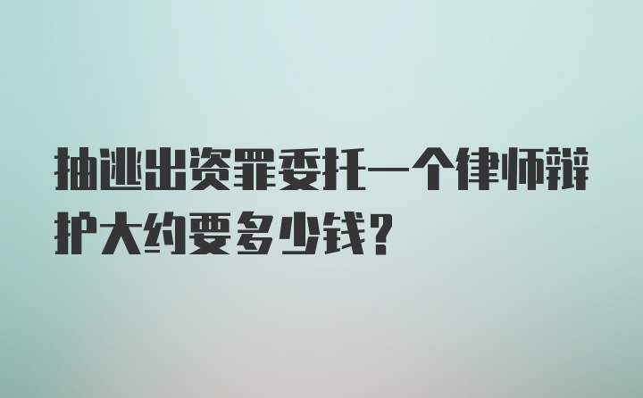 抽逃出资罪委托一个律师辩护大约要多少钱？