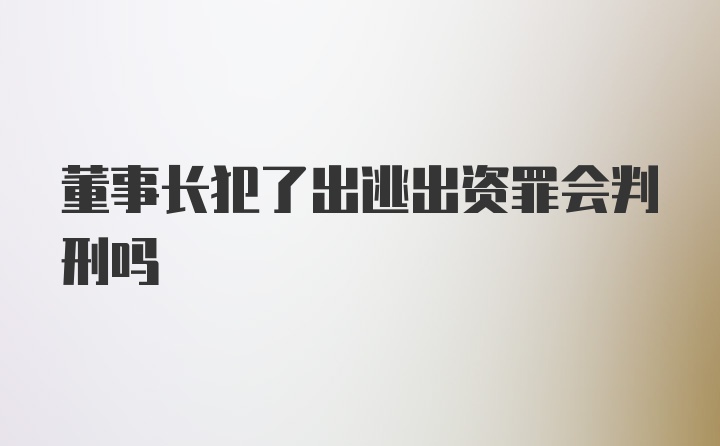 董事长犯了出逃出资罪会判刑吗