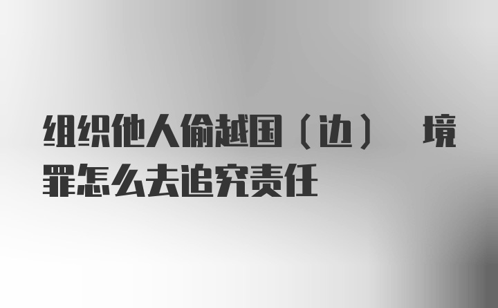 组织他人偷越国(边) 境罪怎么去追究责任