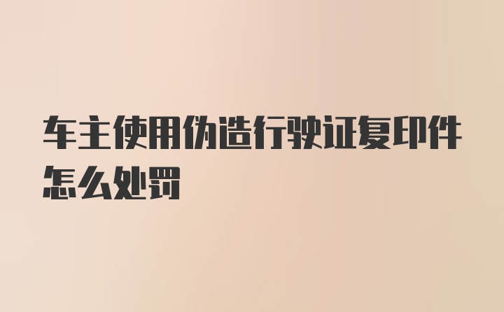 车主使用伪造行驶证复印件怎么处罚