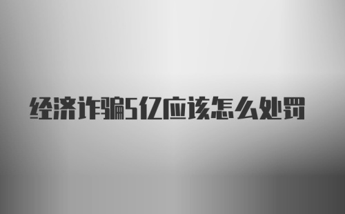 经济诈骗5亿应该怎么处罚