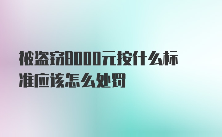 被盗窃8000元按什么标准应该怎么处罚