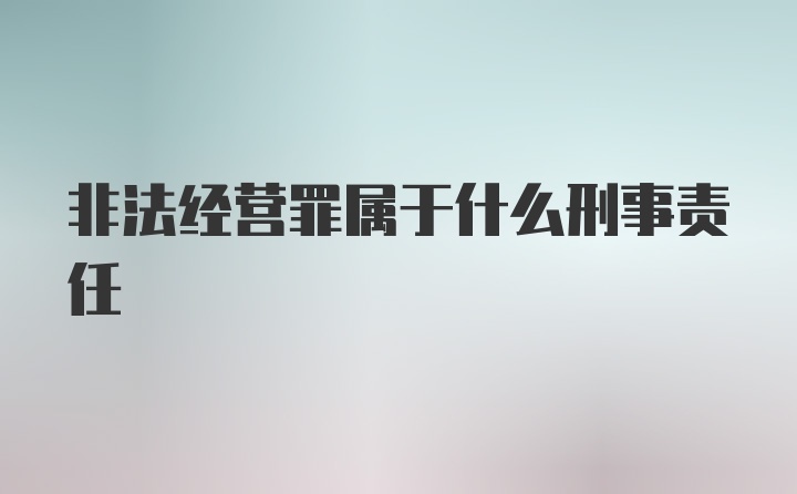 非法经营罪属于什么刑事责任