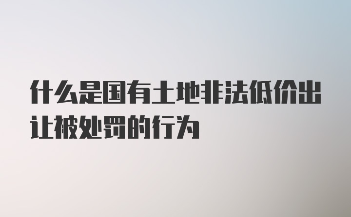 什么是国有土地非法低价出让被处罚的行为