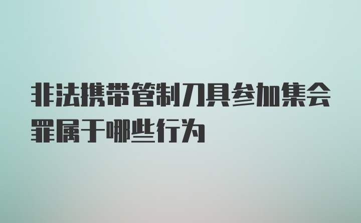 非法携带管制刀具参加集会罪属于哪些行为