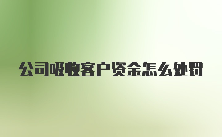 公司吸收客户资金怎么处罚