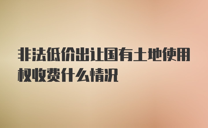 非法低价出让国有土地使用权收费什么情况