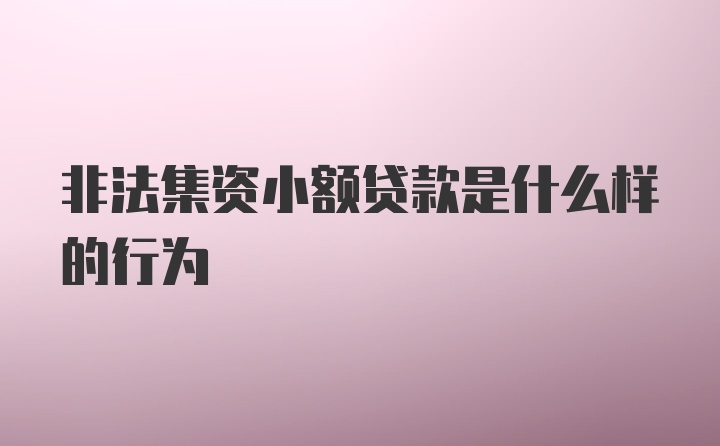 非法集资小额贷款是什么样的行为