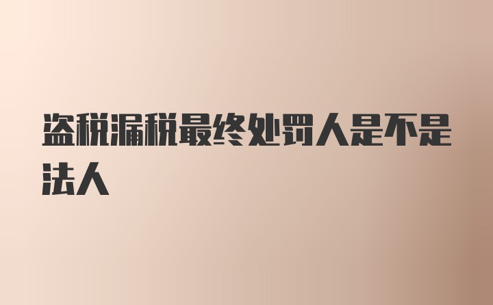 盗税漏税最终处罚人是不是法人