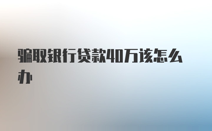 骗取银行贷款40万该怎么办