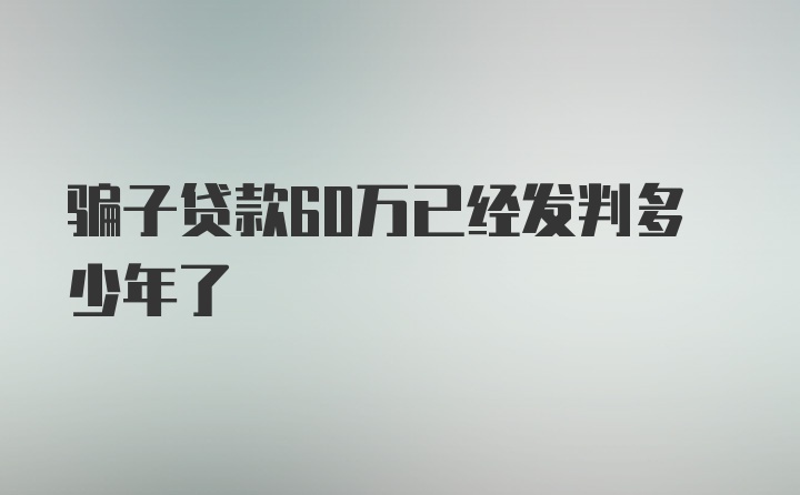 骗子贷款60万已经发判多少年了