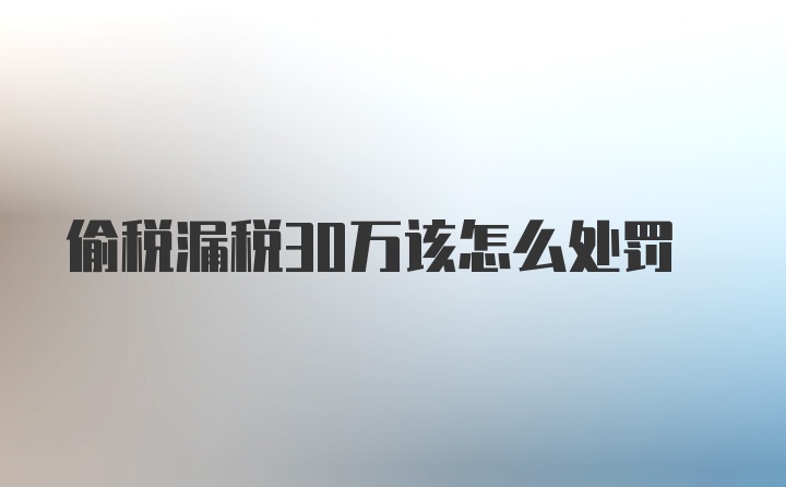 偷税漏税30万该怎么处罚