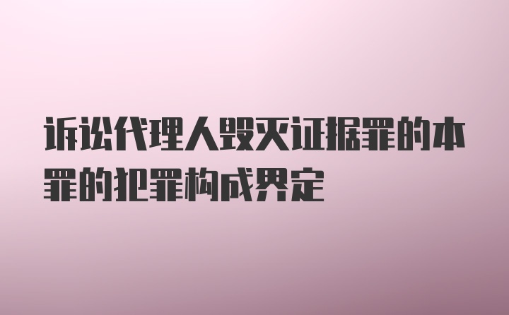 诉讼代理人毁灭证据罪的本罪的犯罪构成界定