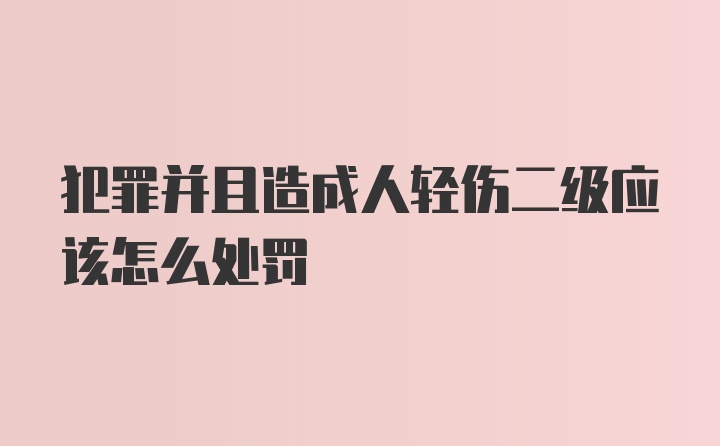 犯罪并且造成人轻伤二级应该怎么处罚