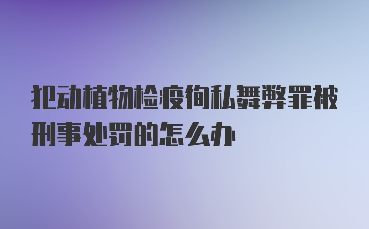 犯动植物检疫徇私舞弊罪被刑事处罚的怎么办