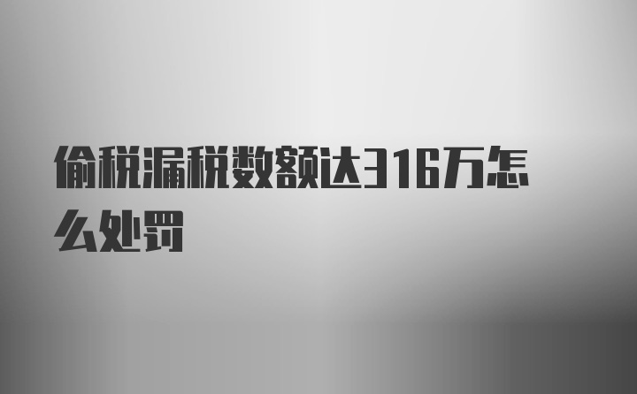 偷税漏税数额达316万怎么处罚