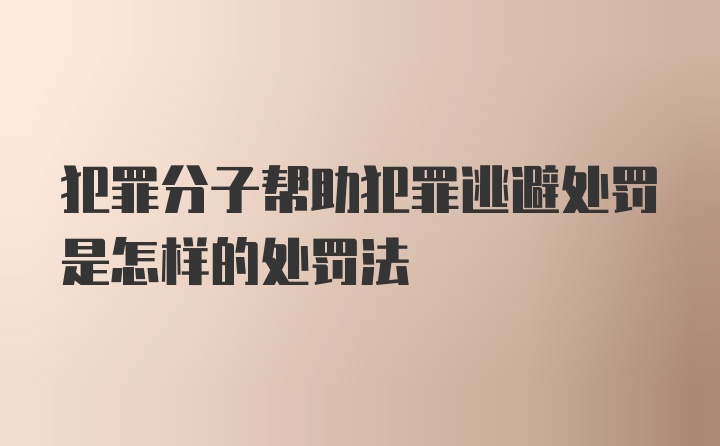 犯罪分子帮助犯罪逃避处罚是怎样的处罚法