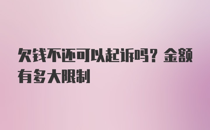 欠钱不还可以起诉吗？金额有多大限制