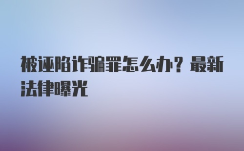 被诬陷诈骗罪怎么办？最新法律曝光