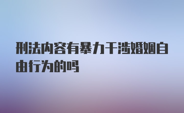 刑法内容有暴力干涉婚姻自由行为的吗