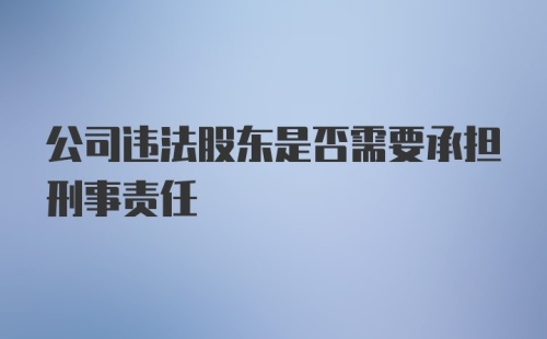 公司违法股东是否需要承担刑事责任