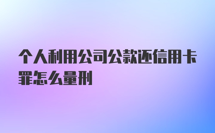 个人利用公司公款还信用卡罪怎么量刑