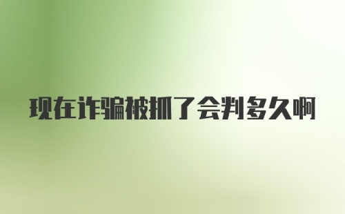 现在诈骗被抓了会判多久啊