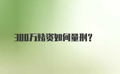 300万赌资如何量刑?