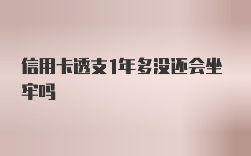 信用卡透支1年多没还会坐牢吗