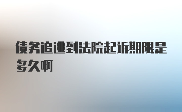 债务追逃到法院起诉期限是多久啊