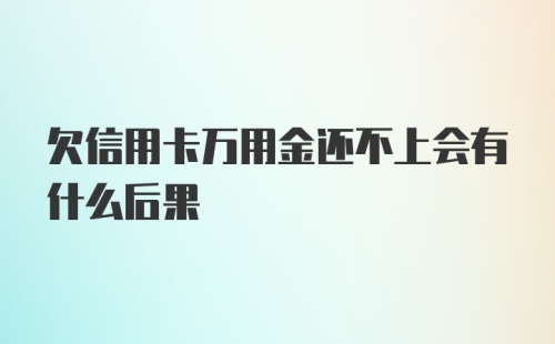 欠信用卡万用金还不上会有什么后果