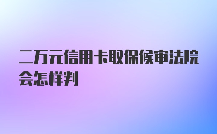 二万元信用卡取保候审法院会怎样判