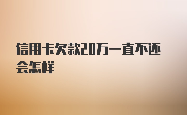 信用卡欠款20万一直不还会怎样