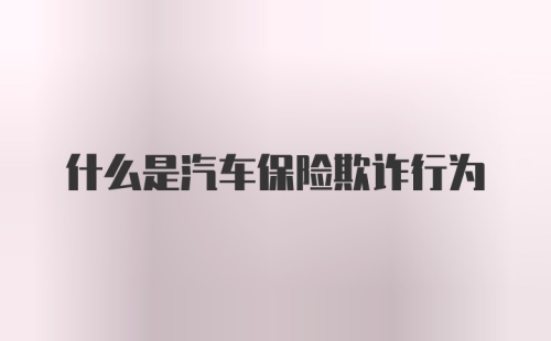 什么是汽车保险欺诈行为