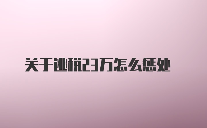 关于逃税23万怎么惩处