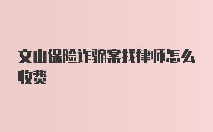 文山保险诈骗案找律师怎么收费