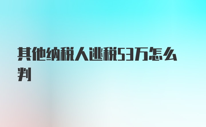 其他纳税人逃税53万怎么判