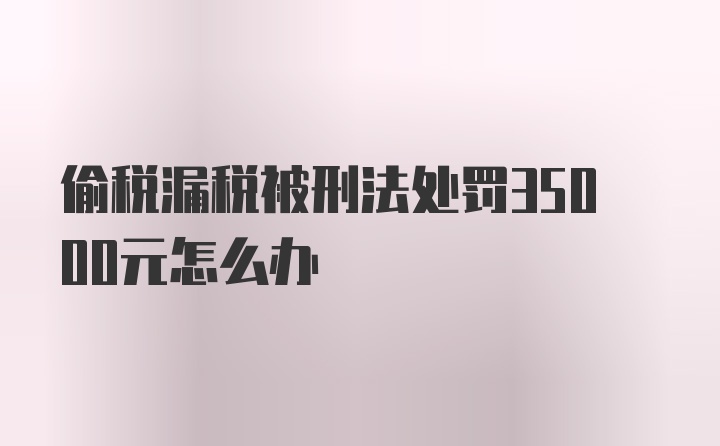 偷税漏税被刑法处罚35000元怎么办