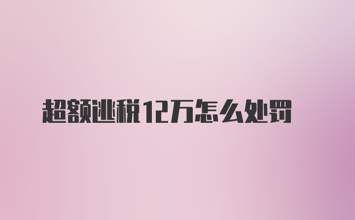 超额逃税12万怎么处罚