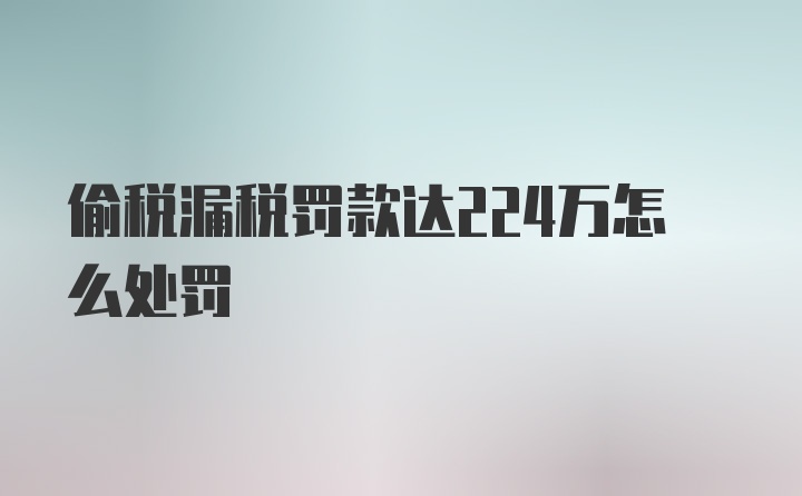 偷税漏税罚款达224万怎么处罚