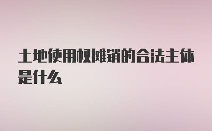 土地使用权摊销的合法主体是什么