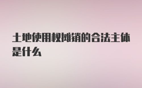 土地使用权摊销的合法主体是什么